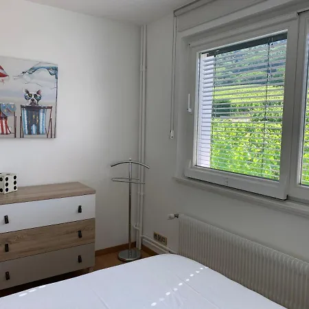 Les Deux Belettes Appartamento Riquewihr
