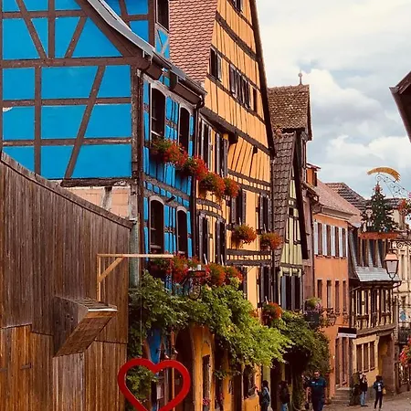 Les Deux Belettes - Meubles A - Vue Vignoble Riquewihr