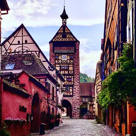 Les Deux Belettes Appartamento Riquewihr