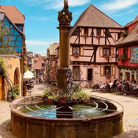 Les Deux Belettes - Meubles A - Vue Vignoble Riquewihr