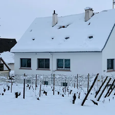Les Deux Belettes Riquewihr