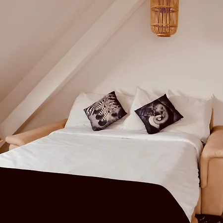 Les Deux Belettes Appartamento Riquewihr