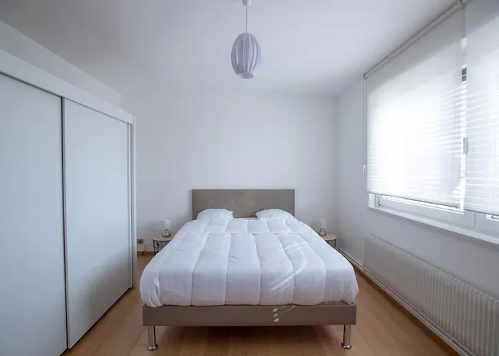 Les Deux Belettes Apartment Riquewihr